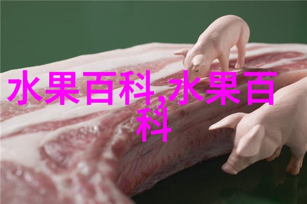 养殖鹌鹑对笼舍场地的基本要求
