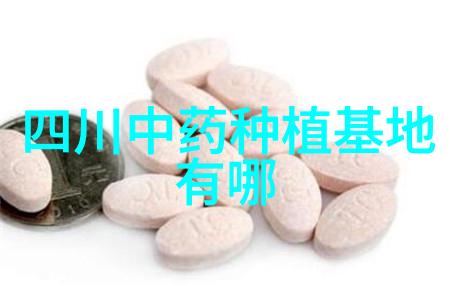 猪--沼气--瓜 海口琼山庄园经济现活力