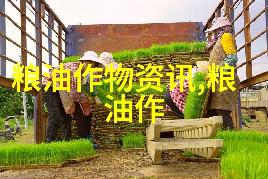 豆粕跌势未尽
