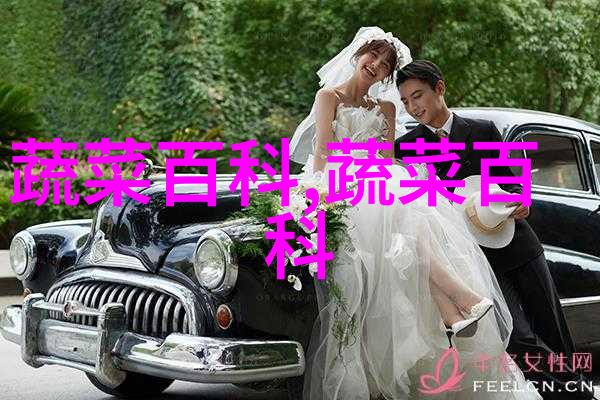 花卉苗木生产与开发开启丰收之路的秘诀